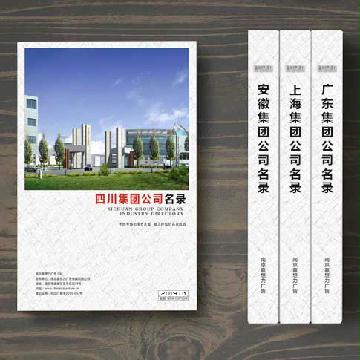 四川集團公司精準(zhǔn)名錄