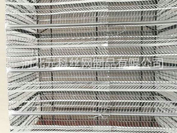 有筋擴張網(wǎng)圖片4